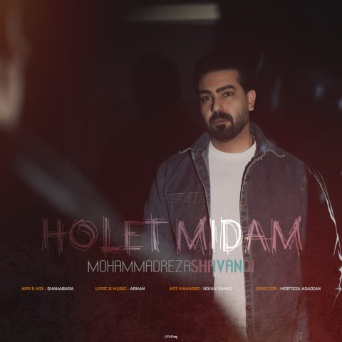 دانلود آهنگ محمدرضا شوندی هولت میدم دانلود آهنگ محمدرضا شوندی هولت میدم