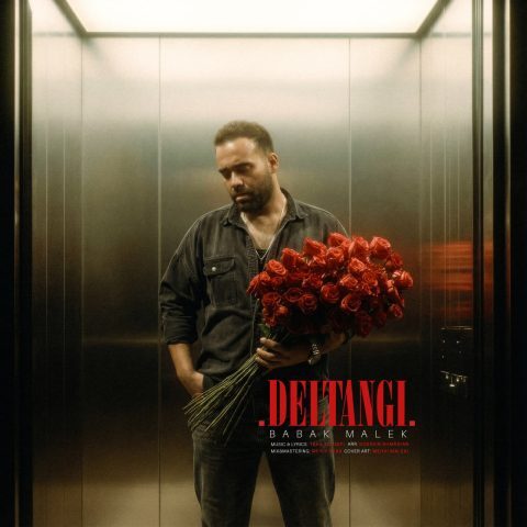 دانلود آهنگ بابک ملک دلتنگی دانلود آهنگ بابک ملک دلتنگی