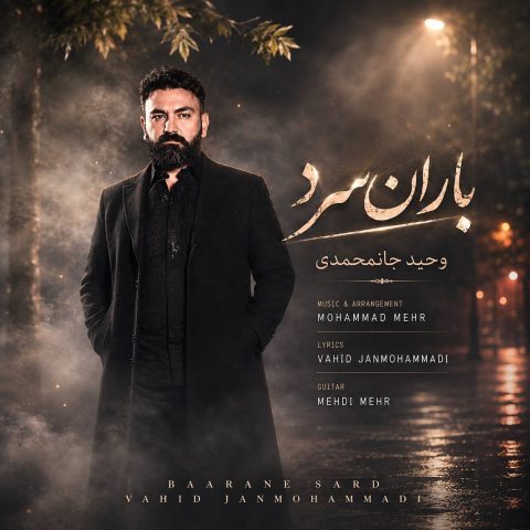 دانلود آهنگ وحید جان محمدی باران سرد دانلود آهنگ وحید جان محمدی باران سرد