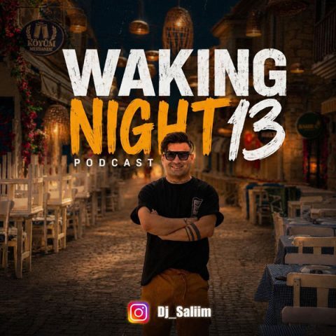 دانلود آهنگ دیجی سلیم Waking Night 13 دانلود آهنگ دیجی سلیم Waking Night 13