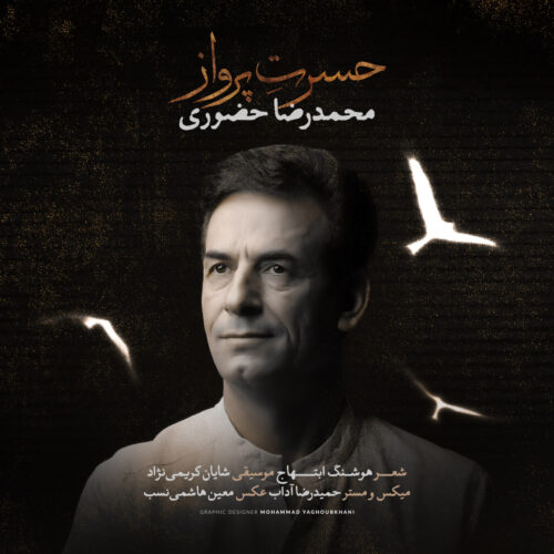 دانلود آهنگ محمدرضا حضورى حسرت پرواز دانلود آهنگ محمدرضا حضورى حسرت پرواز